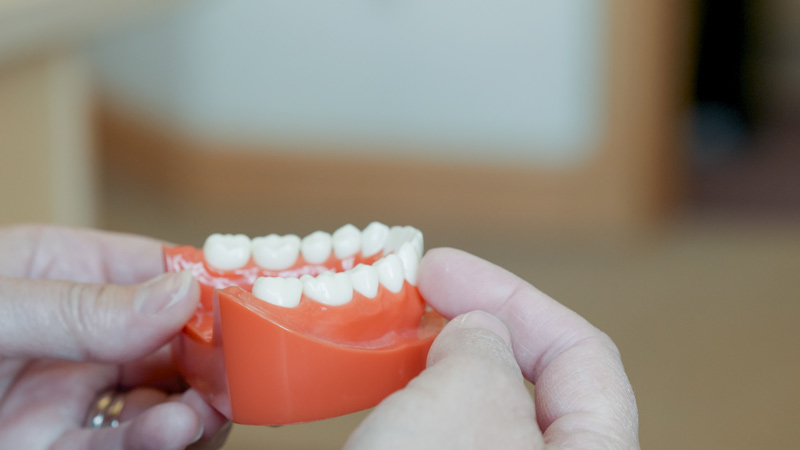 Periodontal Therapy Cadillac Mi Dentists